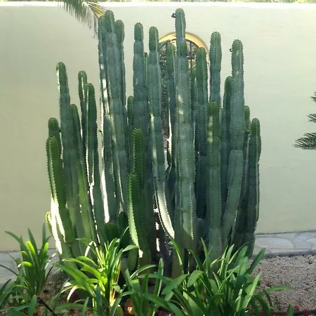 Casa Grecia Appartement