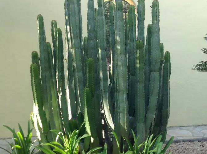 Casa Grecia דירה